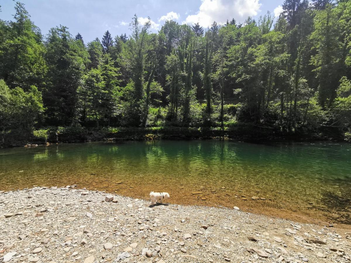 Vila Rozi, Osilnica - Vacation House Pr' Vili Rozi Luaran gambar